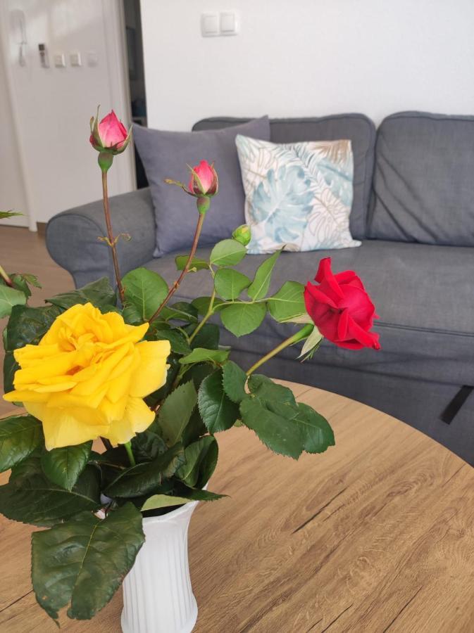 Adria Relax With Private Heated Pool Apartment